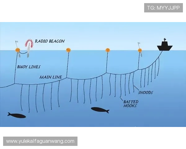 PA捕鱼网开启全新捕鱼体验，海量鱼种等待您的挑战