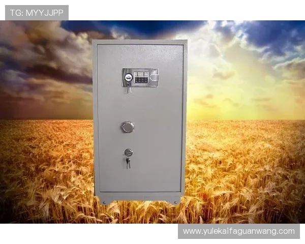 k8凯发官方入口安全登录流程详解,确保玩家账号信息安全与游戏顺畅体验 k8凯发官方入口安全登录流程详解,确保玩家账号信息安全与游戏顺畅体验