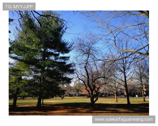 梭哈德州扑克高阶技巧分享提升牌技的实战经验与策略分析